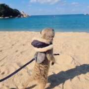 ヒメ日記 2025/11/23 13:24 投稿 みのり　男を狂わせる黒髪美女 今ドキ マットMAX