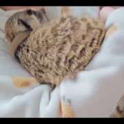 ヒメ日記 2025/11/24 07:32 投稿 みのり　男を狂わせる黒髪美女 今ドキ マットMAX