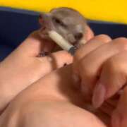 ヒメ日記 2025/11/26 07:19 投稿 みのり 男を狂わせる黒髪美女 今ドキ マットMAX