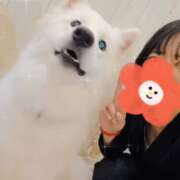 ヒメ日記 2025/11/28 06:18 投稿 みのり 男を狂わせる黒髪美女 今ドキ マットMAX