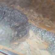 ヒメ日記 2025/11/28 21:33 投稿 みのり 男を狂わせる黒髪美女 今ドキ マットMAX