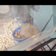 ヒメ日記 2025/11/29 06:05 投稿 みのり 男を狂わせる黒髪美女 今ドキ マットMAX