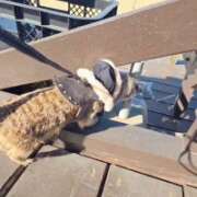 ヒメ日記 2025/11/29 14:43 投稿 みのり　男を狂わせる黒髪美女 今ドキ マットMAX