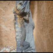 ヒメ日記 2025/11/30 15:11 投稿 みのり　男を狂わせる黒髪美女 今ドキ マットMAX