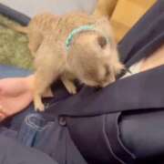 ヒメ日記 2025/12/03 07:32 投稿 みのり　男を狂わせる黒髪美女 今ドキ マットMAX