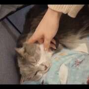 ヒメ日記 2025/12/04 22:53 投稿 みのり　男を狂わせる黒髪美女 今ドキ マットMAX