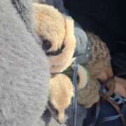 ヒメ日記 2025/12/05 06:31 投稿 みのり　男を狂わせる黒髪美女 今ドキ マットMAX