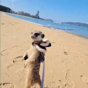 みのり　男を狂わせる黒髪美女 [お題]from:雲のうえ工房さん 今ドキ マットMAX