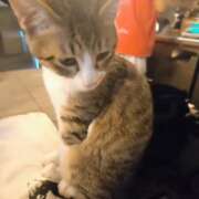 ヒメ日記 2025/12/12 14:29 投稿 みのり　男を狂わせる黒髪美女 今ドキ マットMAX