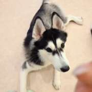 ヒメ日記 2025/12/12 18:46 投稿 みのり　男を狂わせる黒髪美女 今ドキ マットMAX