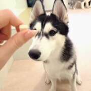 ヒメ日記 2025/12/13 01:25 投稿 みのり　男を狂わせる黒髪美女 今ドキ マットMAX