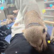 ヒメ日記 2025/12/14 08:36 投稿 みのり　男を狂わせる黒髪美女 今ドキ マットMAX