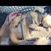 ヒメ日記 2025/12/15 07:20 投稿 みのり　男を狂わせる黒髪美女 今ドキ マットMAX