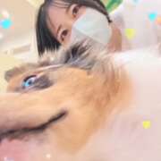 ヒメ日記 2025/12/15 07:35 投稿 みのり　男を狂わせる黒髪美女 今ドキ マットMAX