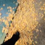 ヒメ日記 2025/12/15 20:39 投稿 みのり　男を狂わせる黒髪美女 今ドキ マットMAX