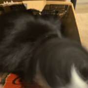 ヒメ日記 2025/12/19 21:27 投稿 みのり　男を狂わせる黒髪美女 今ドキ マットMAX