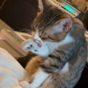 ヒメ日記 2025/12/24 06:16 投稿 みのり　男を狂わせる黒髪美女 今ドキ マットMAX