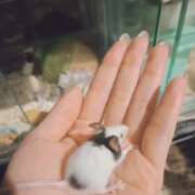 ヒメ日記 2025/12/27 13:50 投稿 みのり　男を狂わせる黒髪美女 今ドキ マットMAX