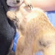 ヒメ日記 2025/12/28 06:08 投稿 みのり　男を狂わせる黒髪美女 今ドキ マットMAX