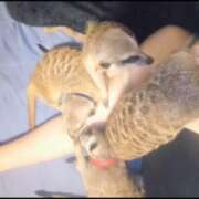 ヒメ日記 2026/01/02 07:47 投稿 みのり　男を狂わせる黒髪美女 今ドキ マットMAX