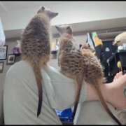 ヒメ日記 2026/01/03 07:37 投稿 みのり　男を狂わせる黒髪美女 今ドキ マットMAX