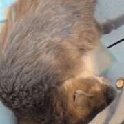 ヒメ日記 2026/01/03 14:00 投稿 みのり　男を狂わせる黒髪美女 今ドキ マットMAX