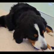 ヒメ日記 2026/01/07 10:13 投稿 みのり　男を狂わせる黒髪美女 今ドキ マットMAX