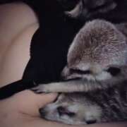 ヒメ日記 2026/01/14 06:46 投稿 みのり　男を狂わせる黒髪美女 今ドキ マットMAX