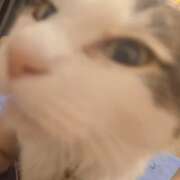 ヒメ日記 2026/01/15 07:49 投稿 みのり　男を狂わせる黒髪美女 今ドキ マットMAX