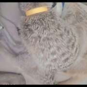 ヒメ日記 2026/01/17 08:23 投稿 みのり　男を狂わせる黒髪美女 今ドキ マットMAX