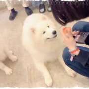 ヒメ日記 2026/01/18 08:20 投稿 みのり　男を狂わせる黒髪美女 今ドキ マットMAX