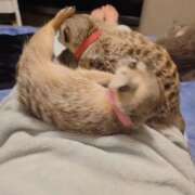 ヒメ日記 2026/01/18 09:13 投稿 みのり　男を狂わせる黒髪美女 今ドキ マットMAX