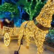 ヒメ日記 2026/01/18 21:06 投稿 みのり　男を狂わせる黒髪美女 今ドキ マットMAX