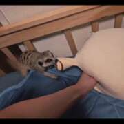 ヒメ日記 2026/01/23 16:49 投稿 みのり　男を狂わせる黒髪美女 今ドキ マットMAX