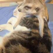 ヒメ日記 2026/01/26 07:46 投稿 みのり　男を狂わせる黒髪美女 今ドキ マットMAX