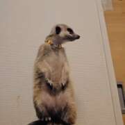 ヒメ日記 2026/02/01 10:00 投稿 みのり　男を狂わせる黒髪美女 今ドキ マットMAX