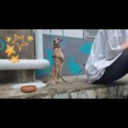 ヒメ日記 2026/02/01 21:16 投稿 みのり　男を狂わせる黒髪美女 今ドキ マットMAX