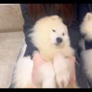 ヒメ日記 2026/02/02 07:04 投稿 みのり　男を狂わせる黒髪美女 今ドキ マットMAX