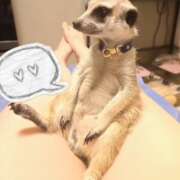 ヒメ日記 2026/02/04 07:10 投稿 みのり　男を狂わせる黒髪美女 今ドキ マットMAX