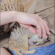 ヒメ日記 2026/02/04 16:39 投稿 みのり　男を狂わせる黒髪美女 今ドキ マットMAX