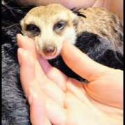 ヒメ日記 2026/02/08 09:30 投稿 みのり　男を狂わせる黒髪美女 今ドキ マットMAX