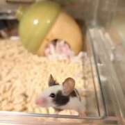 ヒメ日記 2026/02/11 19:18 投稿 みのり　男を狂わせる黒髪美女 今ドキ マットMAX