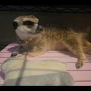 ヒメ日記 2026/02/11 20:35 投稿 みのり　男を狂わせる黒髪美女 今ドキ マットMAX