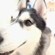 ヒメ日記 2026/02/11 21:10 投稿 みのり　男を狂わせる黒髪美女 今ドキ マットMAX