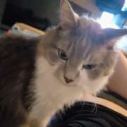 ヒメ日記 2026/02/13 08:04 投稿 みのり　男を狂わせる黒髪美女 今ドキ マットMAX