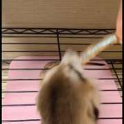 ヒメ日記 2026/02/16 23:25 投稿 みのり　男を狂わせる黒髪美女 今ドキ マットMAX