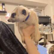 ヒメ日記 2026/02/18 19:28 投稿 みのり　男を狂わせる黒髪美女 今ドキ マットMAX