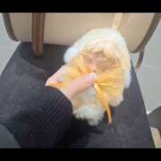 ヒメ日記 2026/02/21 12:20 投稿 みのり　男を狂わせる黒髪美女 今ドキ マットMAX