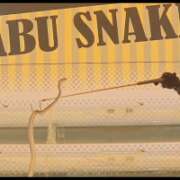 ヒメ日記 2026/02/21 15:45 投稿 みのり　男を狂わせる黒髪美女 今ドキ マットMAX