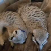 ヒメ日記 2026/02/22 10:05 投稿 みのり　男を狂わせる黒髪美女 今ドキ マットMAX